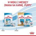 ROYAL CANIN Mini Starter Mother & Babydog 8kg ROYAL CANIN Mini Starter Mother & Babydog 8kg
