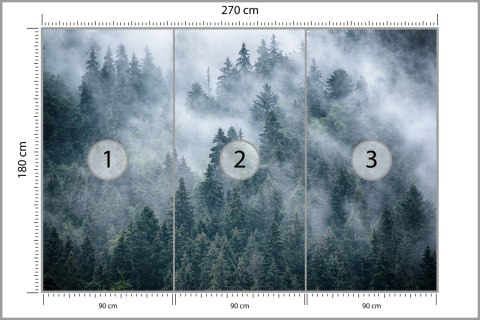 Fototapeta Mglisty Las W Górach Fototapeta Mglisty Las W Górach