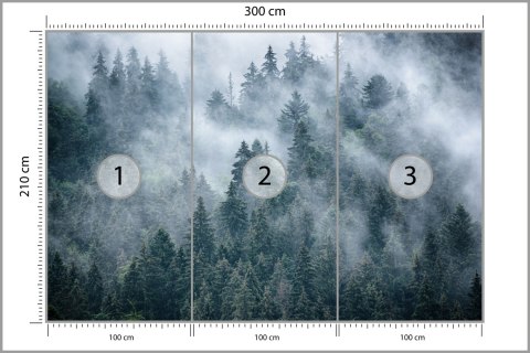Fototapeta Mglisty Las W Górach Fototapeta Mglisty Las W Górach