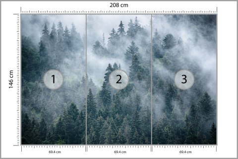 Fototapeta Mglisty Las W Górach Fototapeta Mglisty Las W Górach