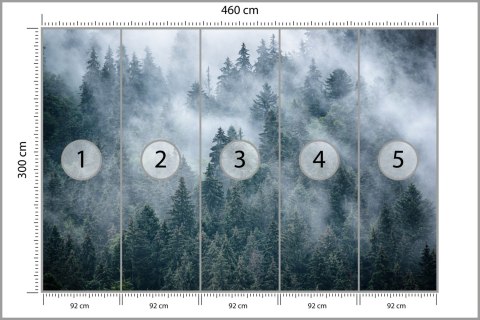 Fototapeta Mglisty Las W Górach Fototapeta Mglisty Las W Górach
