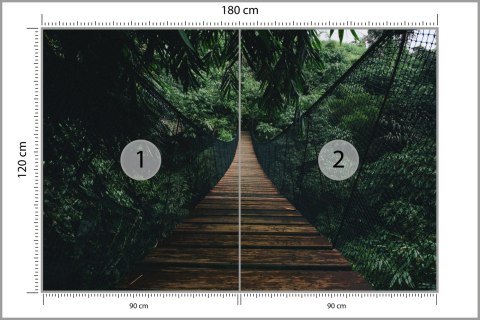 Fototapeta Wiszący Most W Lesie Fototapeta Wiszący Most W Lesie