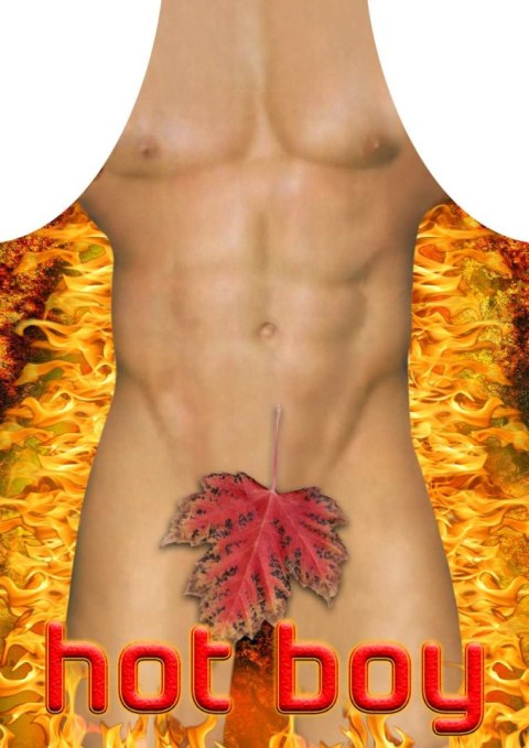 Fartuch nr 31 (hot boy).. Fartuch nr 31 (hot boy)..