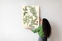 Plakat Wieloczęściowy Wizerunki Starych Roślin Botanicznych Rama Aluminiowa Kolor Czarny
